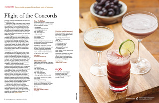 IM45 elements-concord-grapes