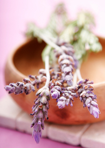 IM20_bonus_lavendar_211x293