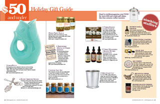 2010 Holiday Gift Guide: $50 and Under