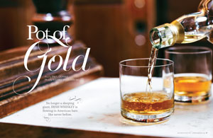 feature_irishwhiskey_300x195