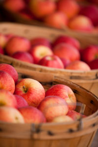on-tap_hardcider_200x300