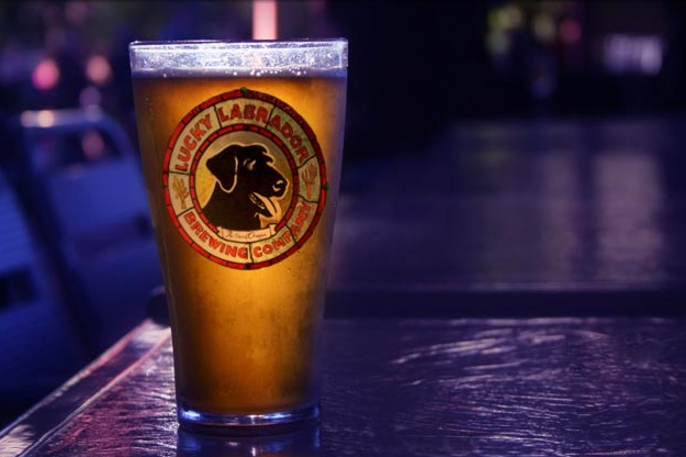on_tap_b_dog_pubs