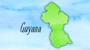 ontap rum guyana