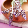 herbalteas_120