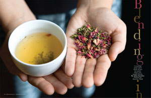 ontap_ct_mixtea_300x195