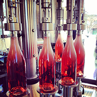 ontap w Rose-Production-Methods