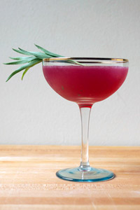 recipe c Electric-Pink-Fields