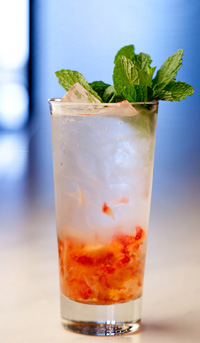 recipe_c_vermouth-spritzer