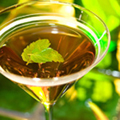 recipe_c_stinger_120x120