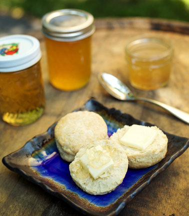 recipe_f_biscuits