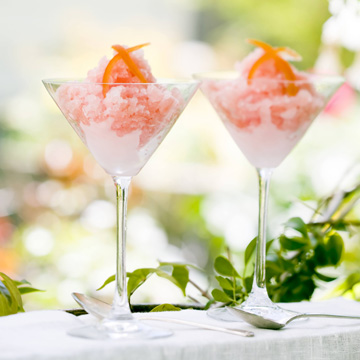 recipe_f_grapefruit_granita