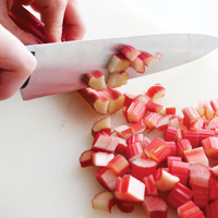 recipe_rhubarb_bitters_step1