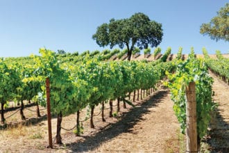 healdsburg