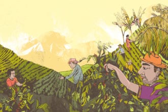 future of coffee