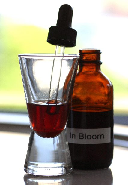 in bloom bitters