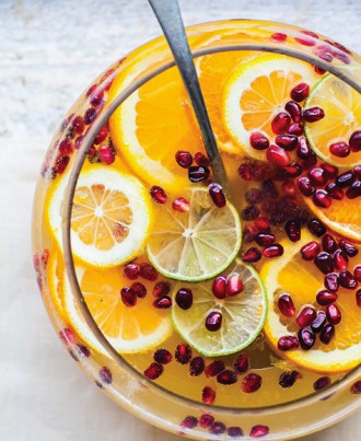 sparkling-pomegranate-punch_crdt-kimberly-hasselbrink