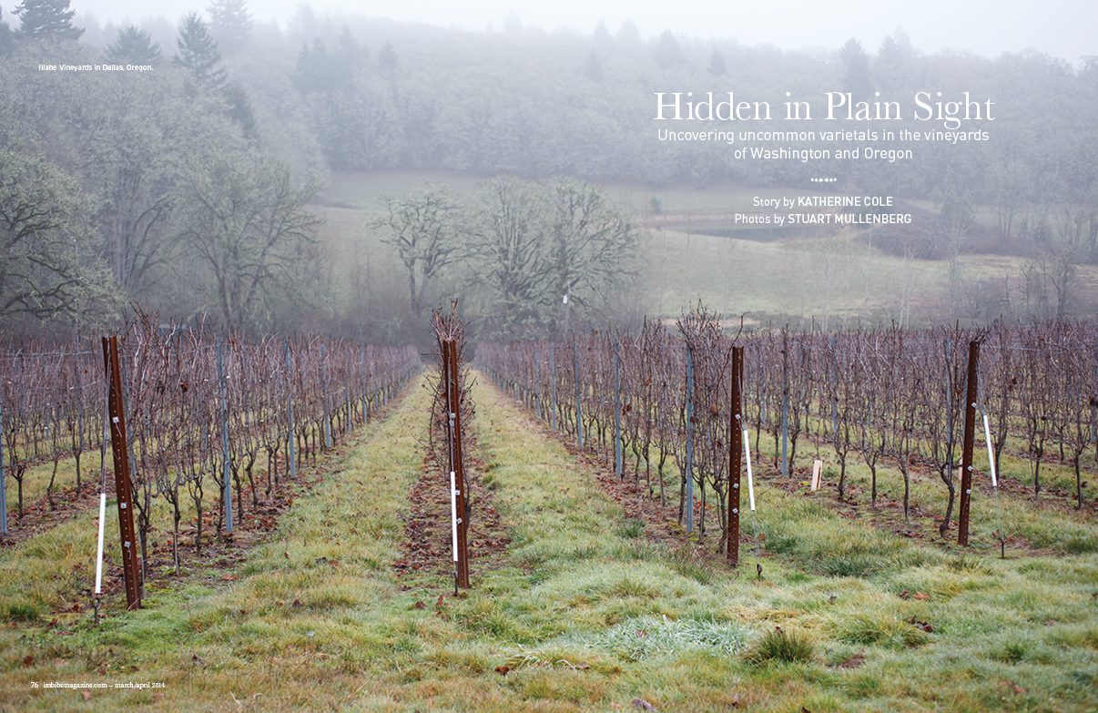wine feature