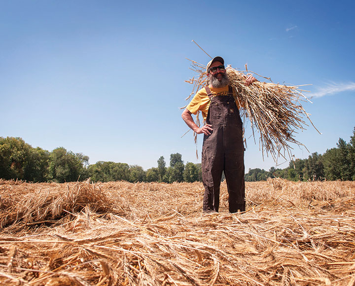 Farmer-Brewers Growing Local Beer - Imbibe Magazine