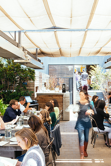 bar agricole