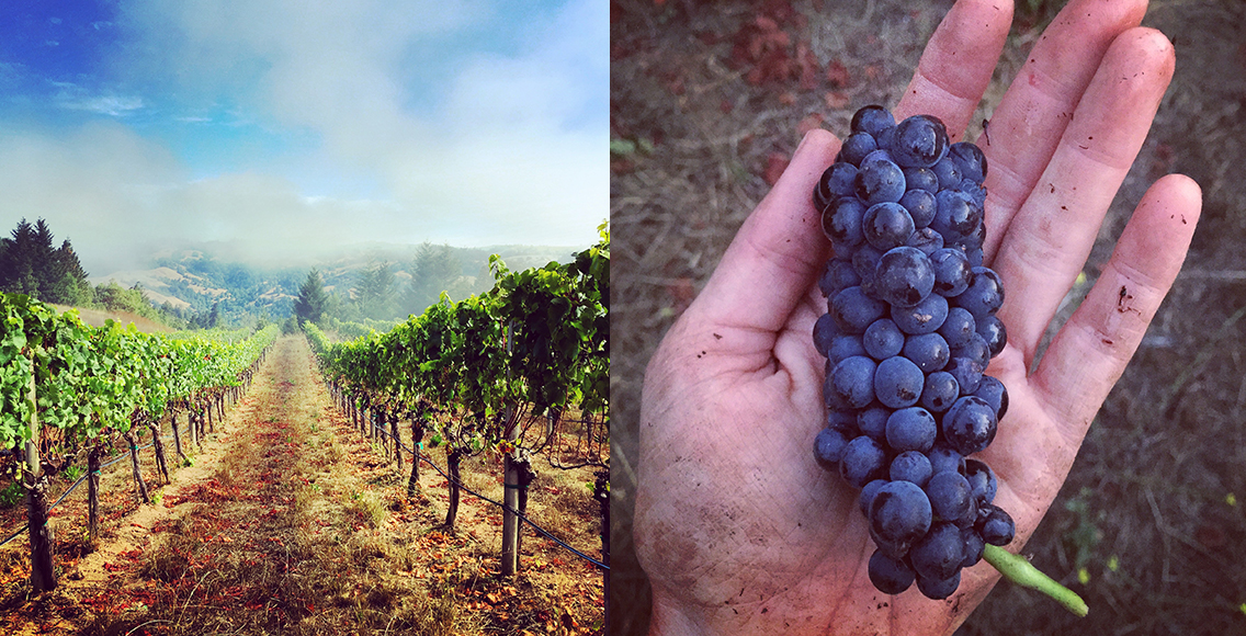 winery instagram accounts