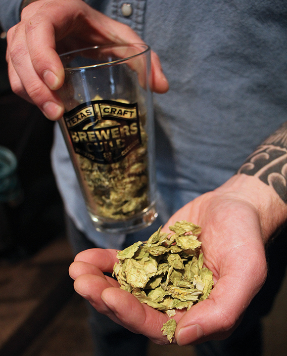 single-hop beers