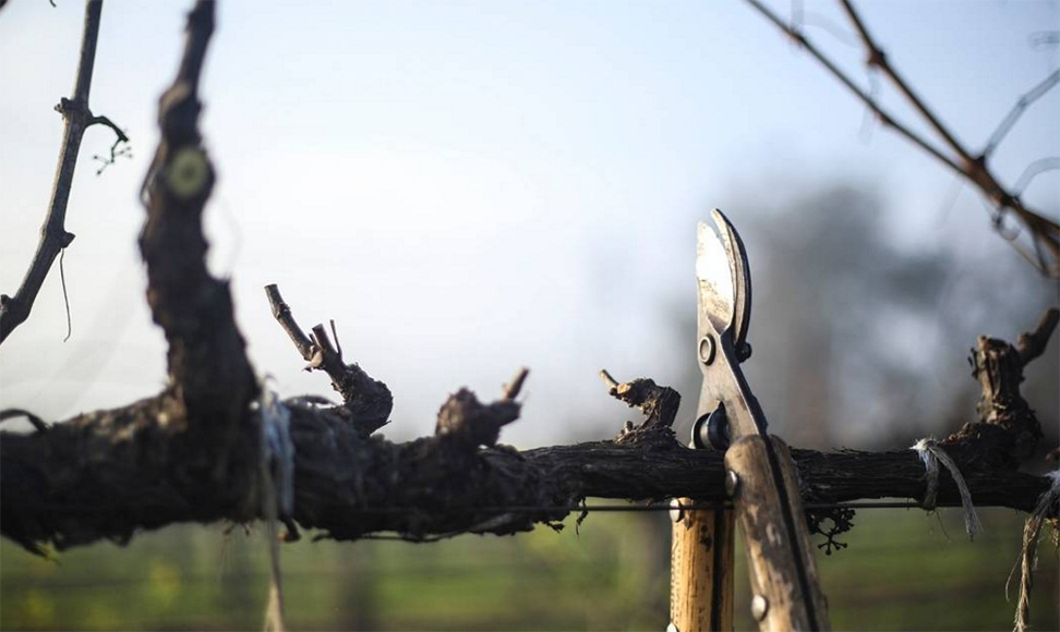 winery instagram accounts