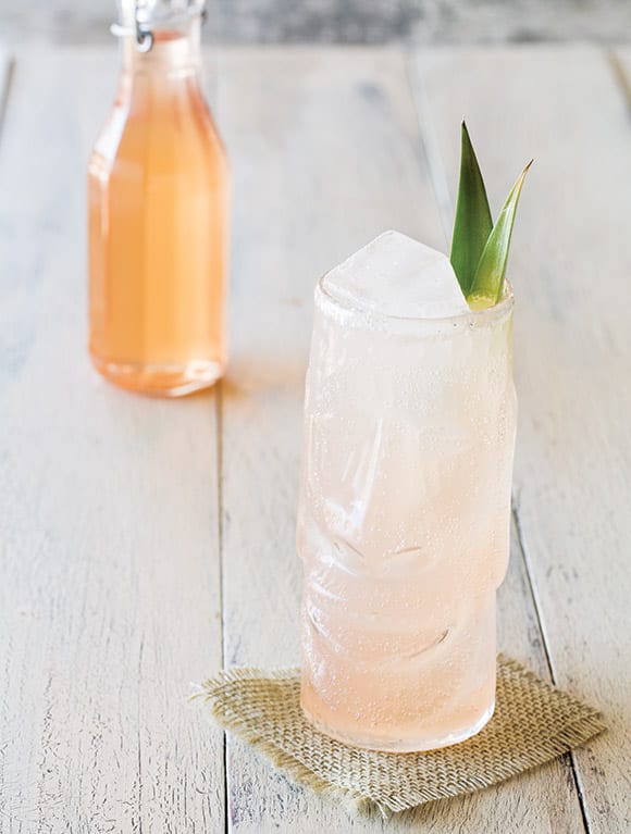 persimmon soda recipe