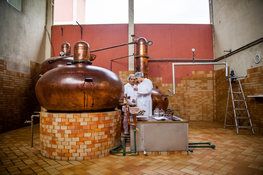 cachaca
