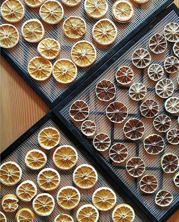 Dehydrated fruit for cocktails and drinks