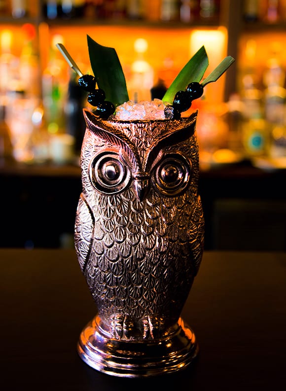 16oz owl shaped juice party drinking