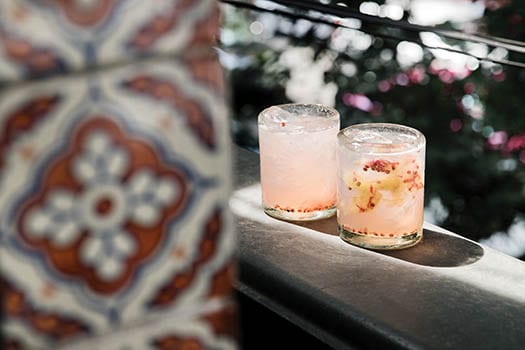 mexico city drinks culture