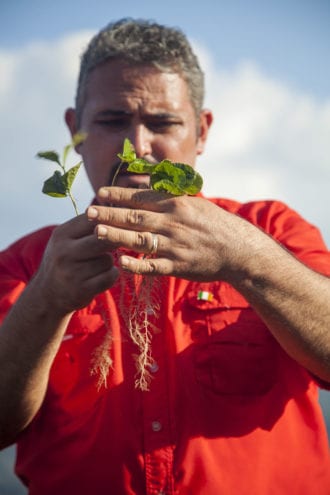 Omar Rodgríguez Romero, general manager of COCAFCAL and son of its founder, examining a coffee seedling.