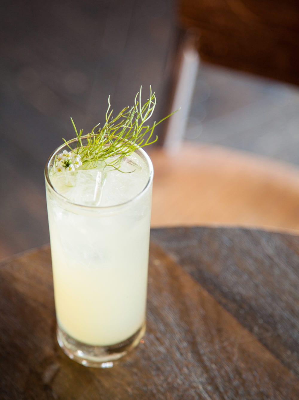 Tom Collins Riffs Imbibe Magazine