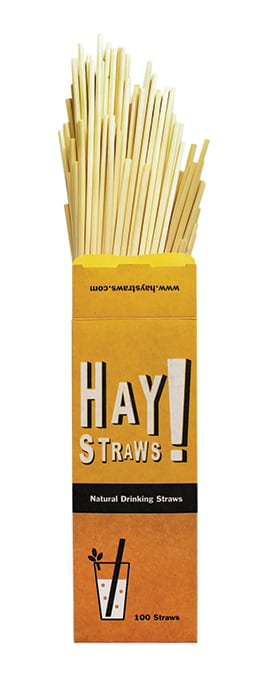 Plastic Straw Alternatives