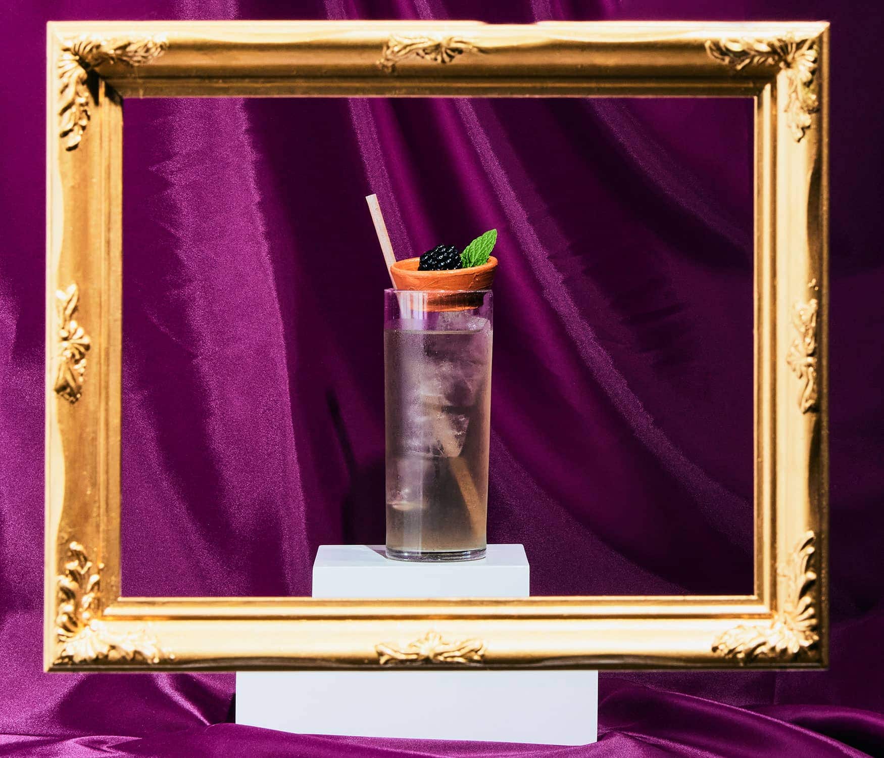 Trick Dog TD University