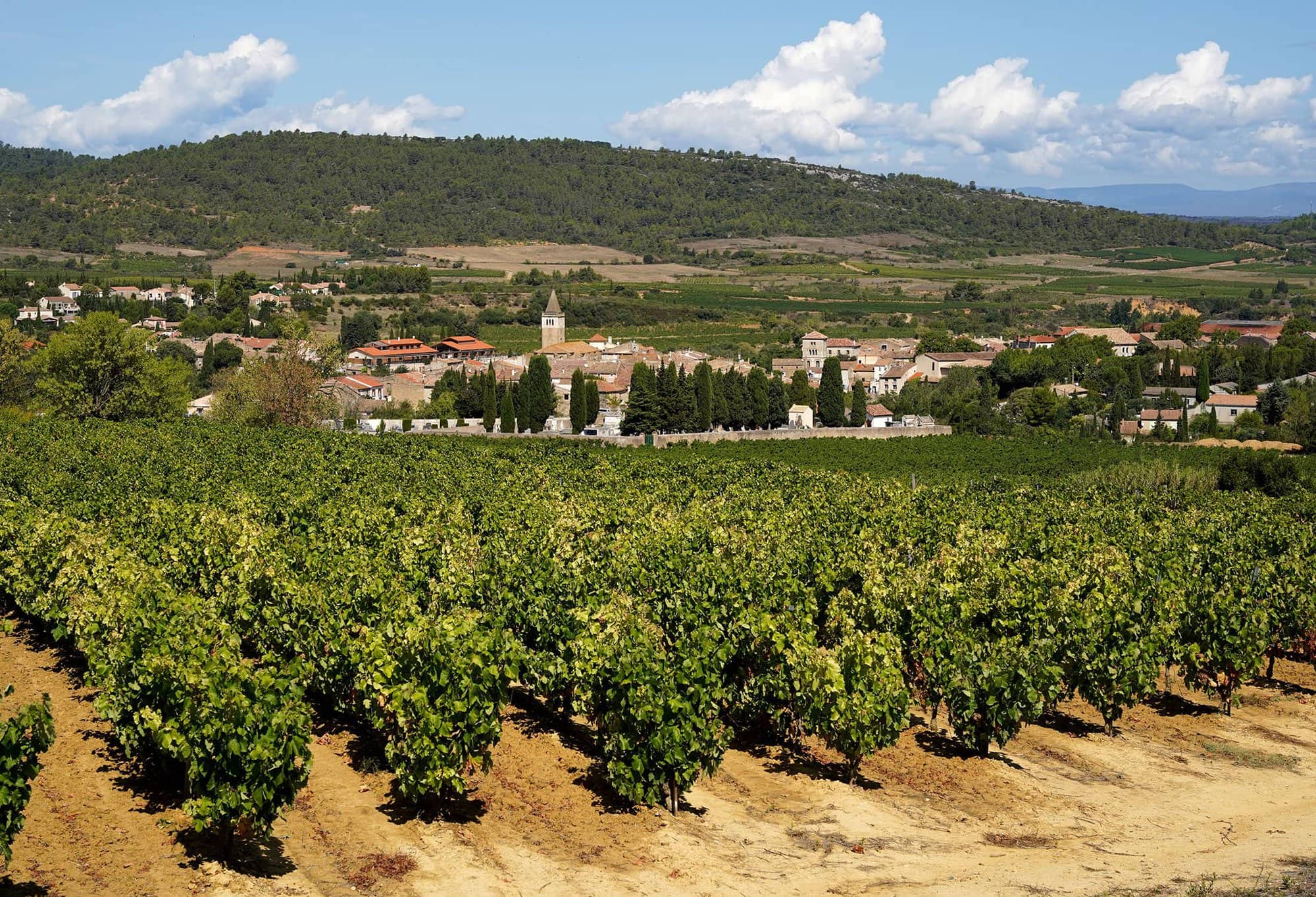 Boutenac vineyards Languedoc wines