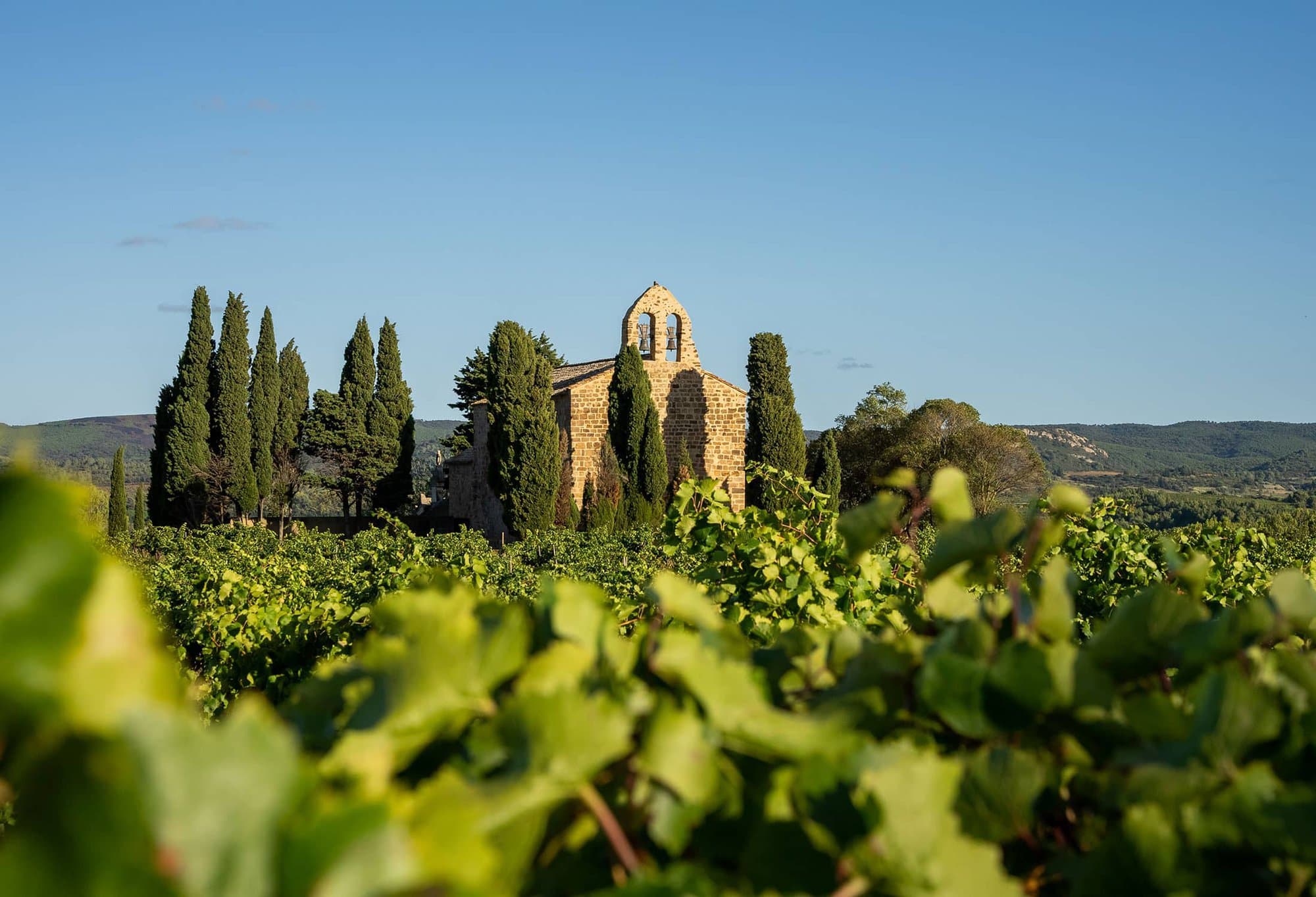 Boutenac vineyards Languedoc wines