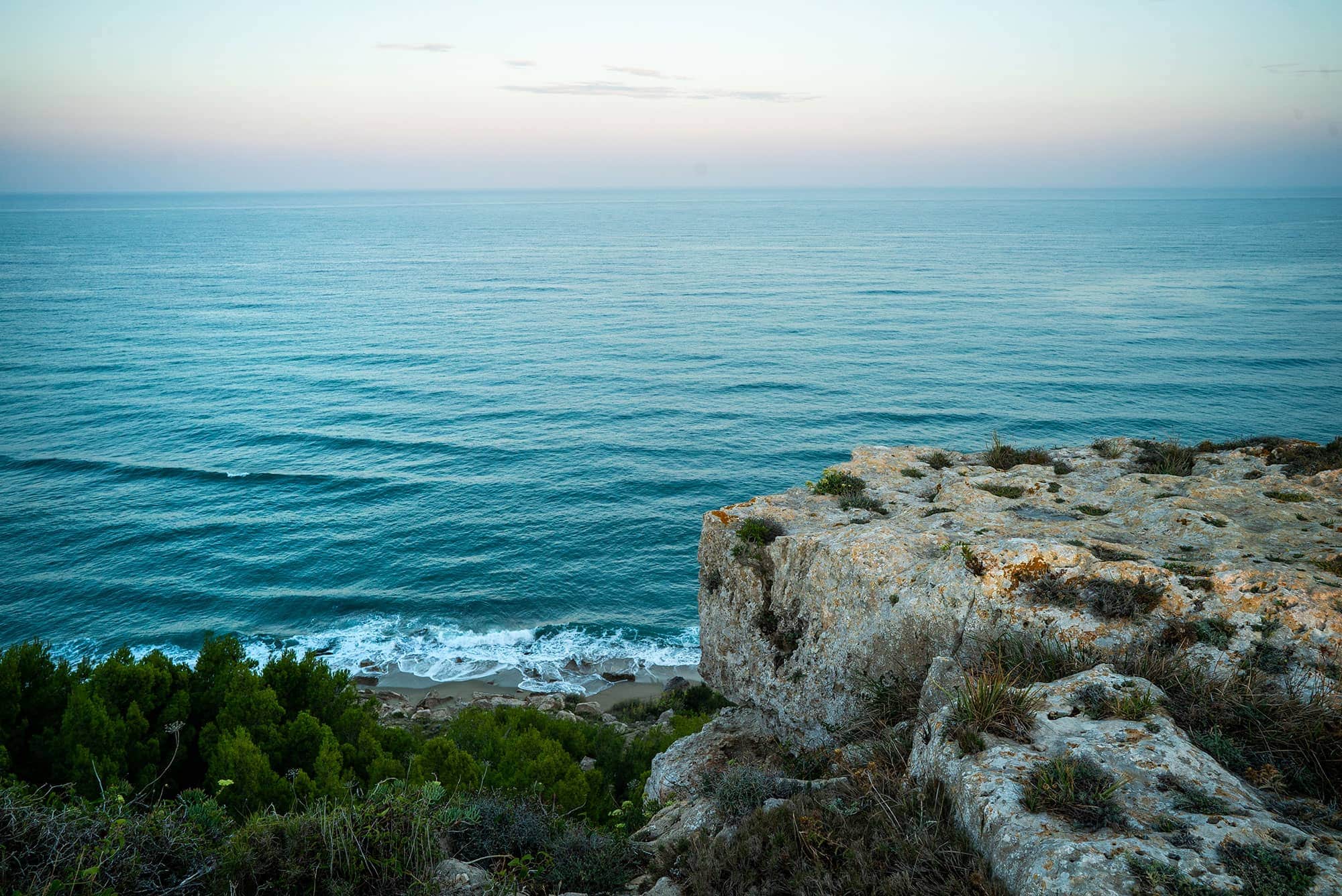 Fitou Languedoc wines