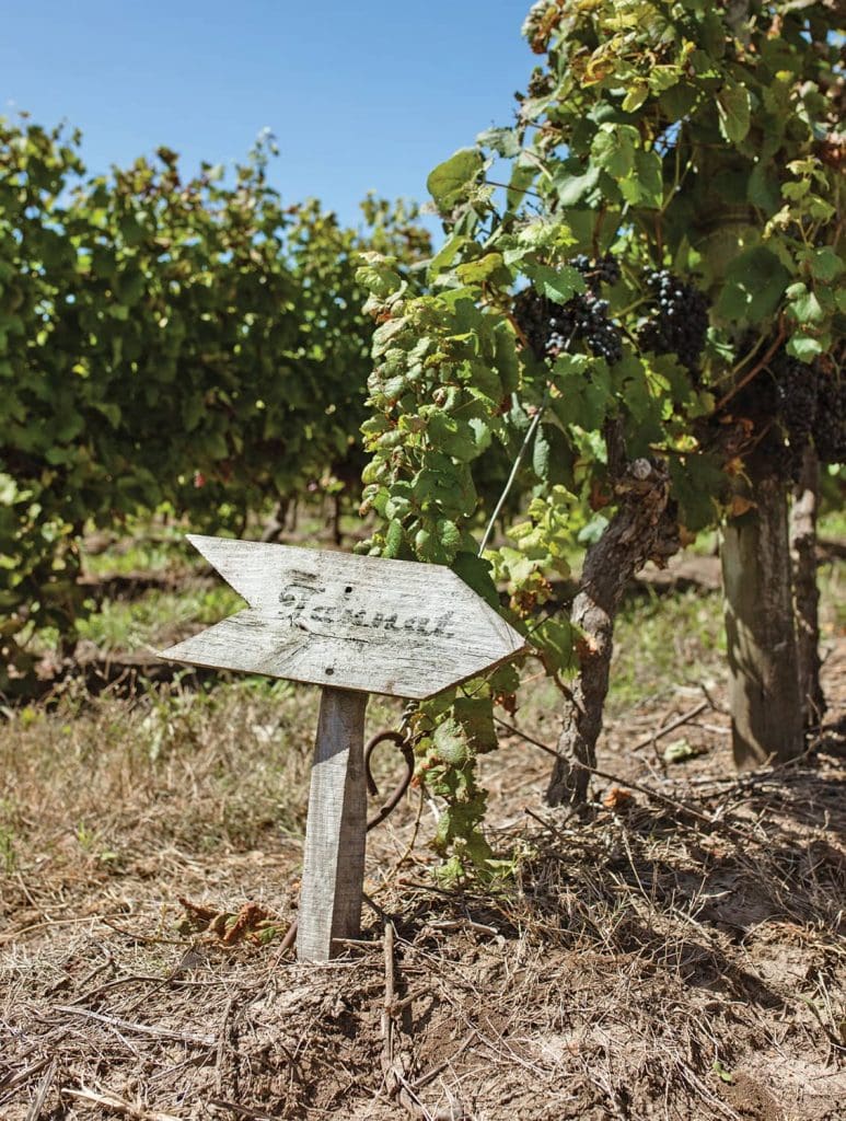 Uruguay wine Bracco Bosca tannat sign