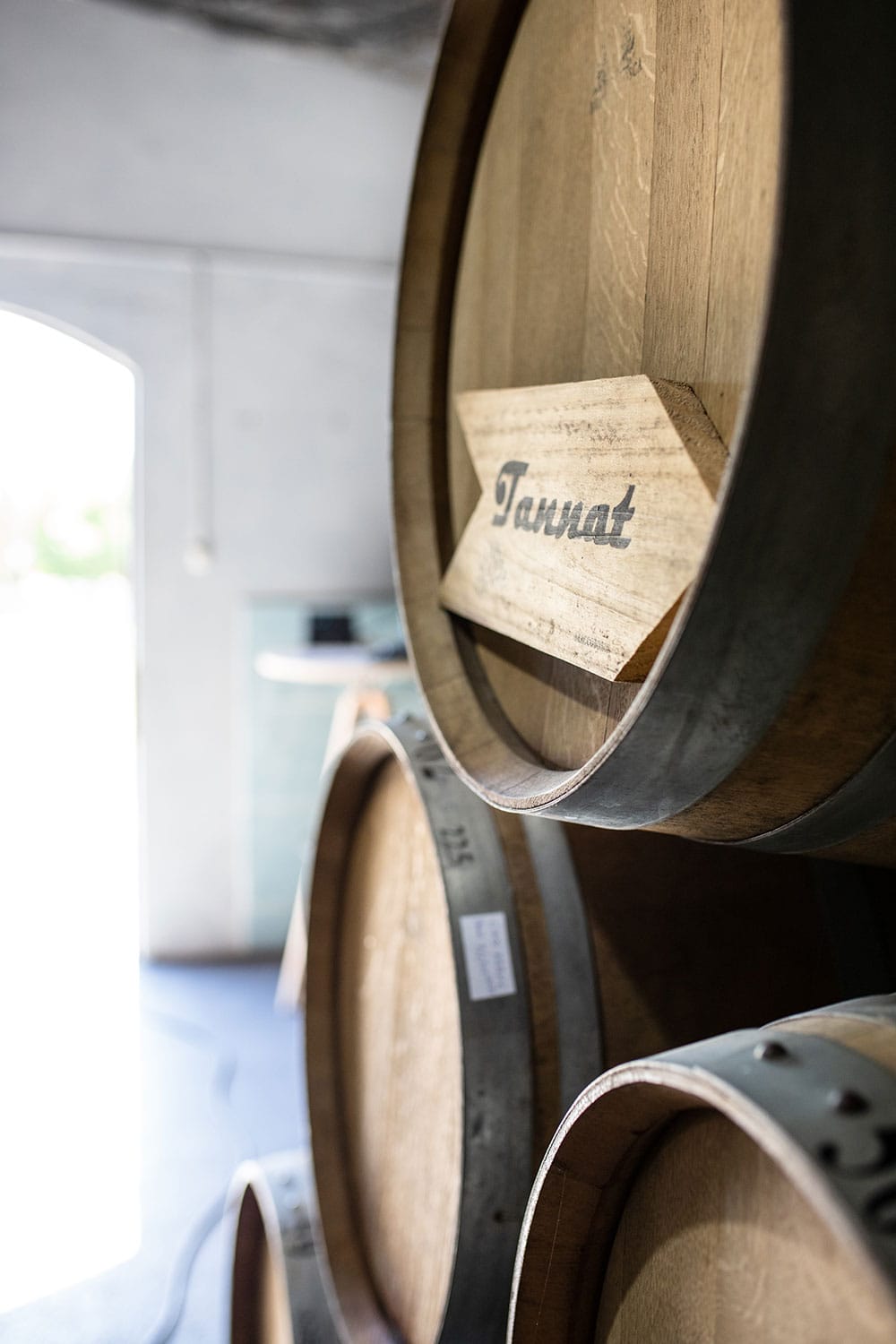 Uruguay wine barrels