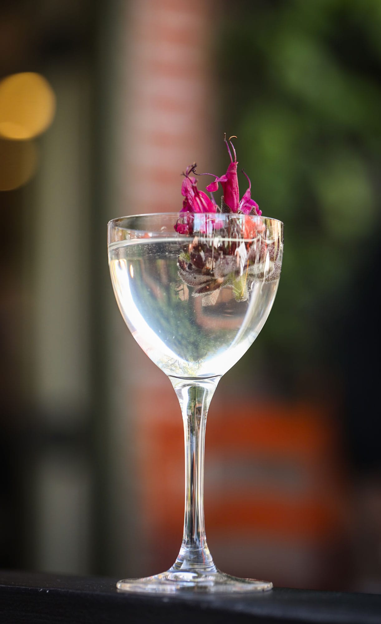 Rain Shadow Big Bar cocktail