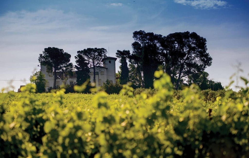 Cava Pares Balta Els Pujols Estate
