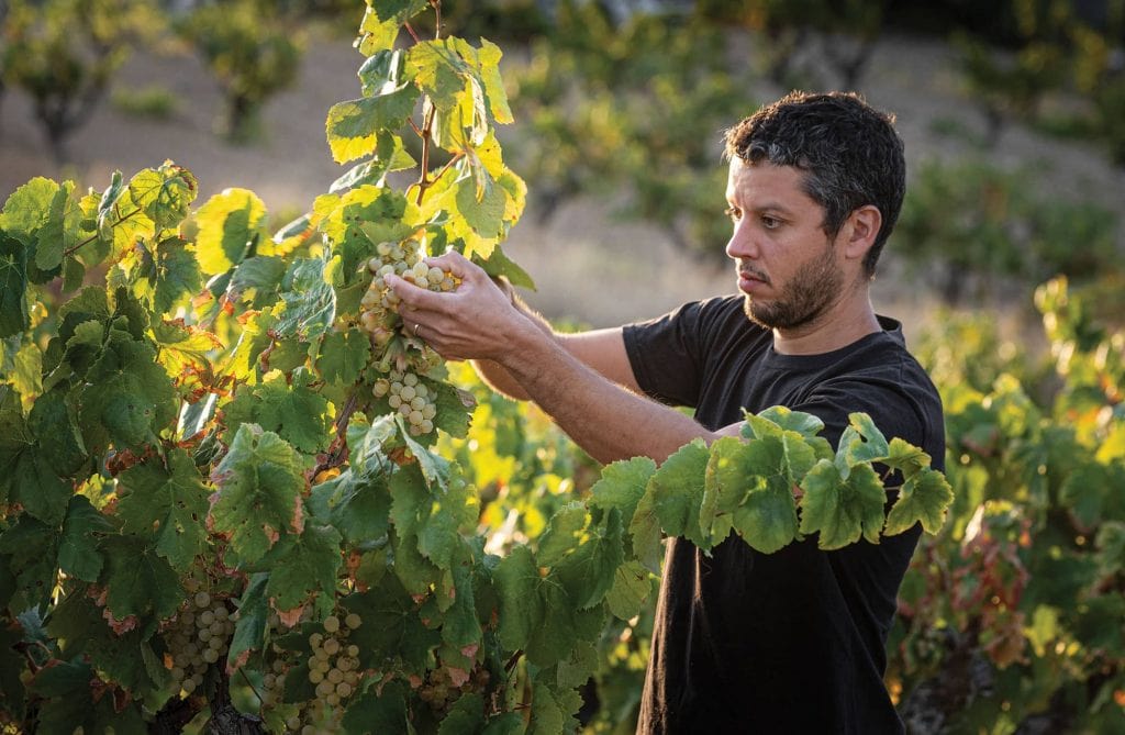 Cava muscandia Eduard Viader