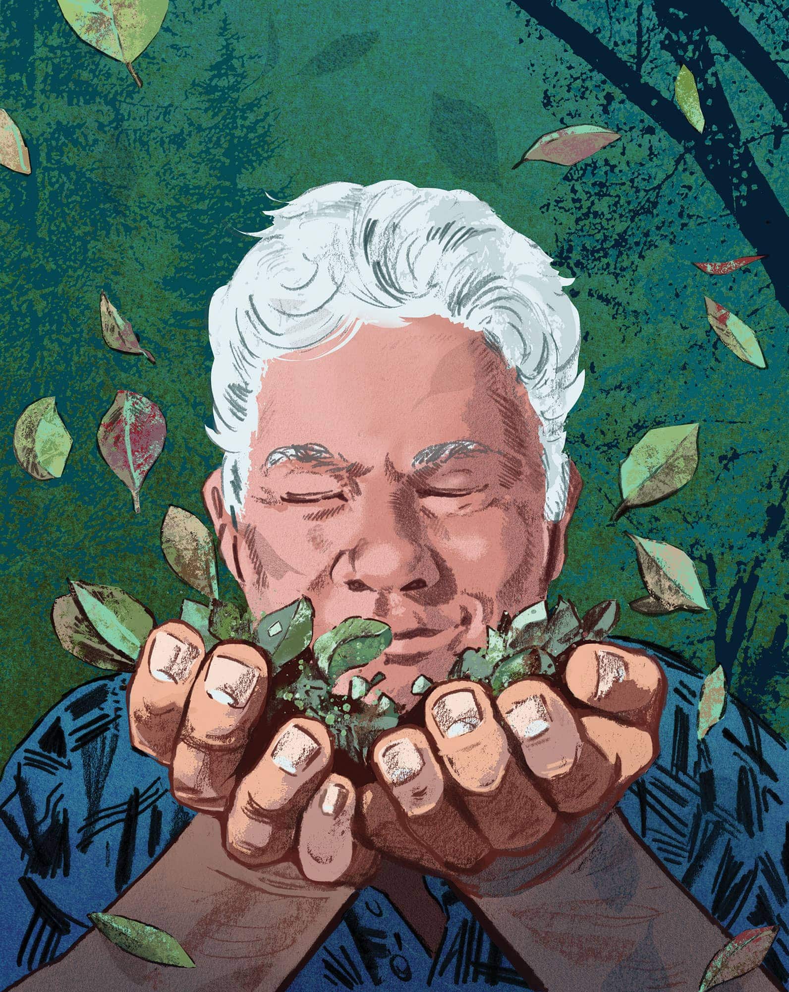 Lost flavors like teaberry