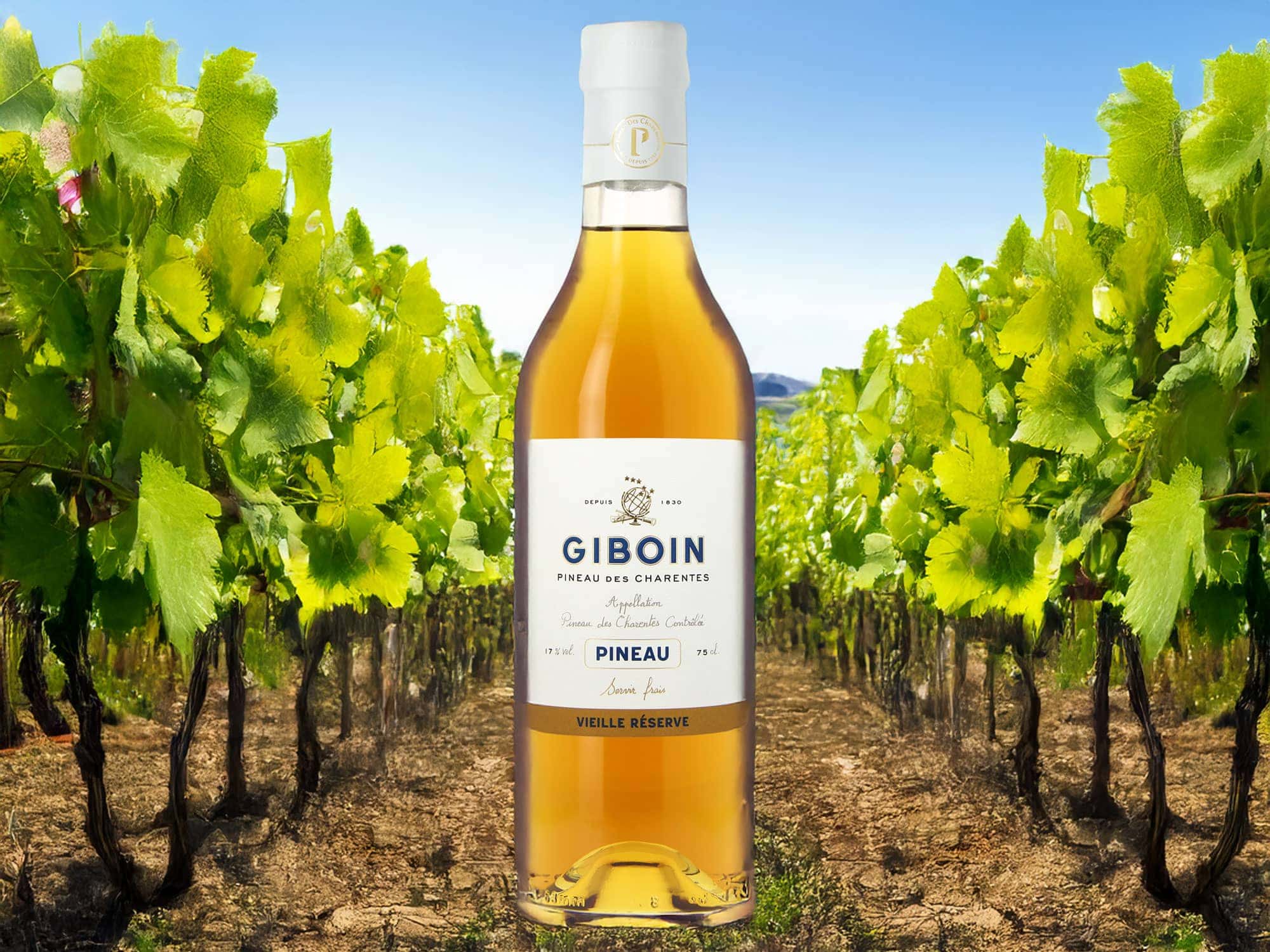 Giboin Pineau des Charentes