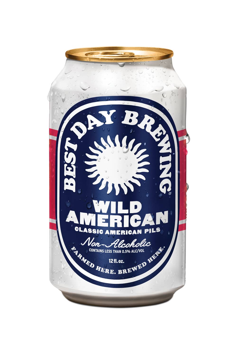 Best Day Brewing Wild American